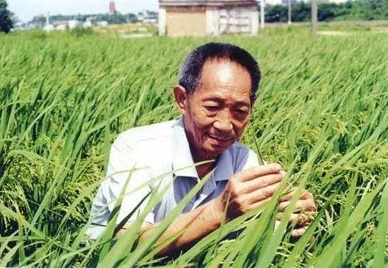 一日三餐，米香彌漫，飽食者當(dāng)憶袁公！