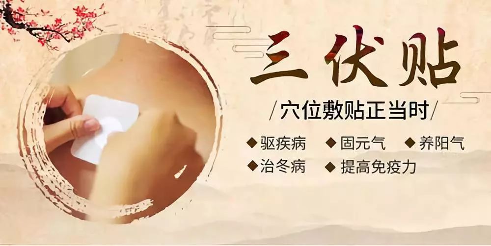 關于三伏貼，你了解多少呢？