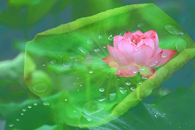 醫(yī)療器械網(wǎng)：失眠該怎么辦？